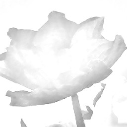 Pencil Sketch 030